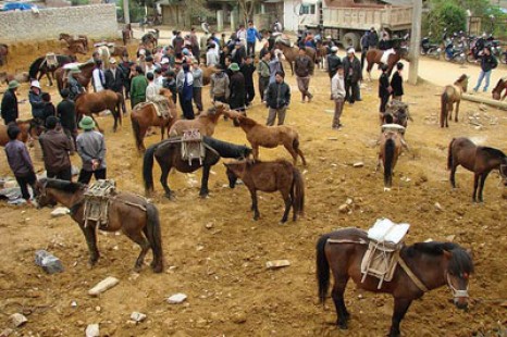 Tour Du Lịch Sapa - Chợ Bắc Hà 1 Ngày